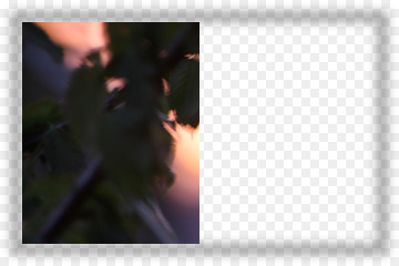 An image with a transparent border, with a border shadow without layer knock-out